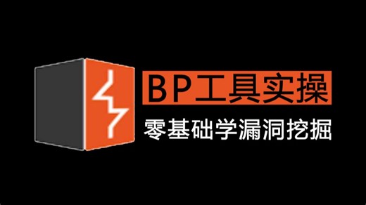 2025最新BP工具实操教程！从零开始学BP漏洞挖掘，7天学会，手把手带你入门网络安全！