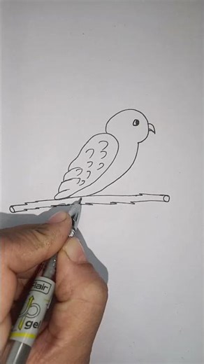 Beautiful Bird Line Art Tutorial | Easy Sketch for Everyone #drawing #birds