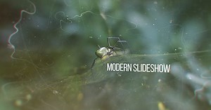 Modern Slideshow