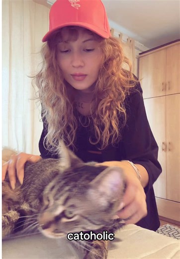 Understanding Catoholics: The Love for Cats Explained