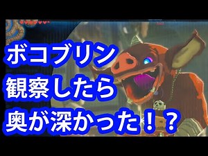 ボコブリン小ネタ集【ゼルダの伝説ブレスオブザワイルド】