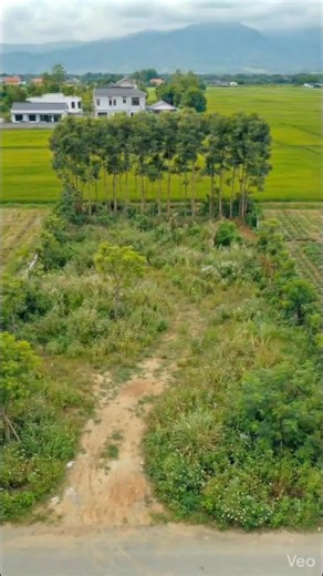 Mẫu nhà vườn mái Thái với hồ cá Koi đẹp mắt