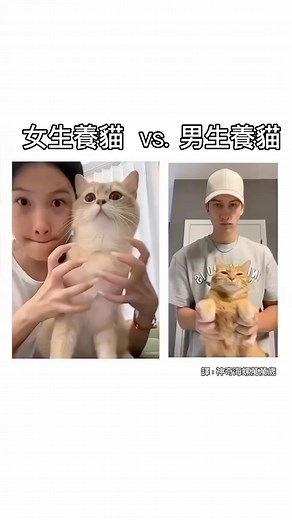 神奇海螺萬萬歲 on Instagram: "真實 追蹤我，看更多迷因翻譯⬆️ #梗圖 #迷因 #迷因梗圖 #迷因系列 #迷因梗 #梗圖翻譯 #梗圖萬歲 #迷因翻譯 #翻譯迷因 #地獄梗 #memes #funny #reels"