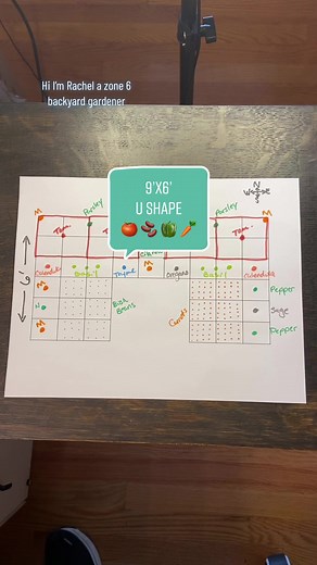 Ultimate Guide to U-Shaped Vegetable Garden Layouts for Beginners