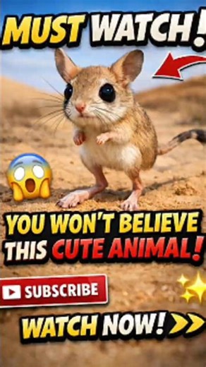 THIS TINY ANIMAL JUMPS LIKE A KANGAROO #wildlife #usa #shorts #weirdanimals