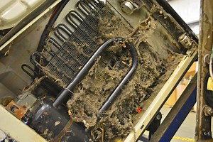 Clean your Refrigerator Coils in 3 Easy Steps