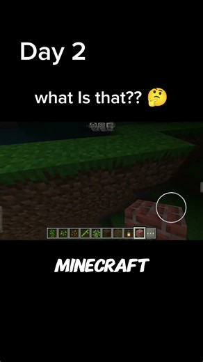 Day 2 of playing Minecraft || What is that? #minecraft #day2