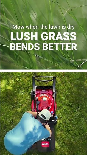 Top Lawn Mowers at Ace Hardware | Best Gas & Battery Mowers