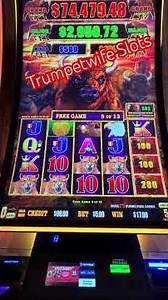 Hi Limit Buffalo Bonus at the Midwest Meet Up! Hollywood Casino, St Louis! #travel #casino #fyp