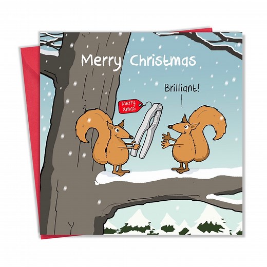 Funny Christmas Card With Squirrel Nutcracker - Funny Xmas Card - Merry Christmas Card – Funny Christmas Gift - Holiday Card - Humour Card - Etsy UK