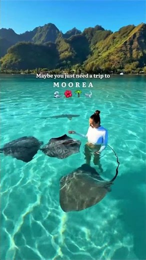 The perfect tropical destination you have never heard of in French Polynesia