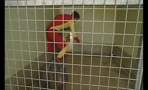 Measurement: Mass and Capacity