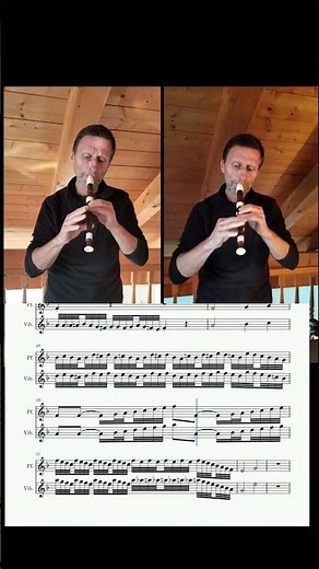 Short - Finale from "Barber of Seville" #flute #orchestra