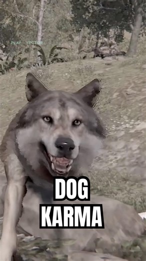 dog karma in rust
