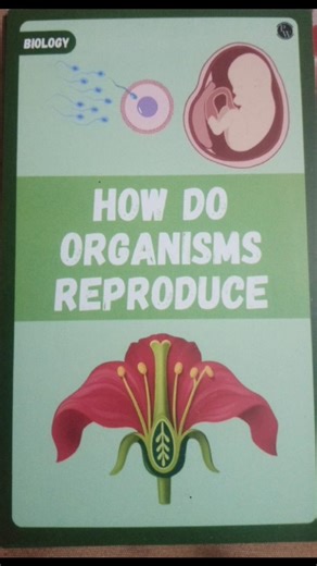 Human Reproduction Explained! 🧬 #science #biology