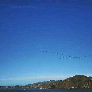 1.8K views · 69 reactions | AlphaCast on Reels | Facebook