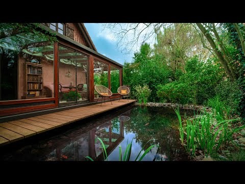 1 hour of zen aquatherapy — relaxing water sound for focus & sleep 🌧️