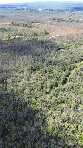 Two side-by-side lots on Omeka Rd – 6 acres of opportunity!