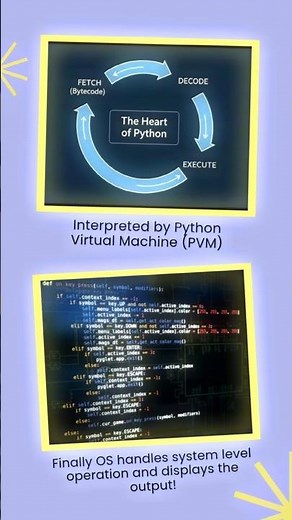 How does Python Script runs in the Terminal | TanishkBhatt | #python #coding #codewithharry