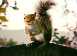 Squirrels (Horror Movie) - Teaser Trailer