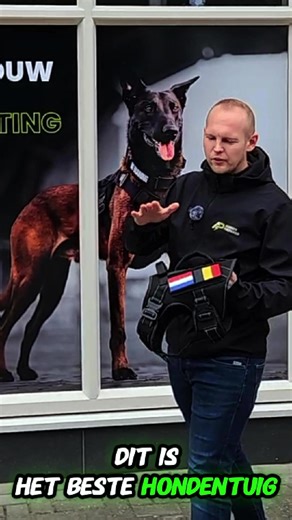Het beste honden tuig voor elke baas