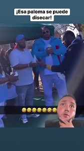 Dios mío la paloma 🥲 | El Tony