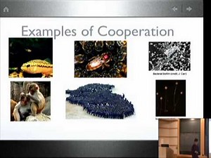 Some Equations and Games in Evolutionary Biology | Christine Taylor