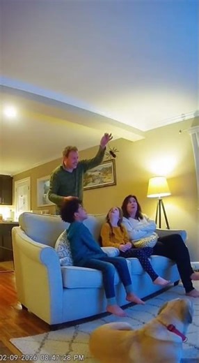 Spider Prank Backfires HILARIOUSLY!