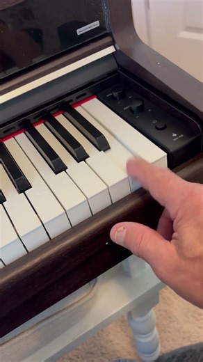 Donner Musical Instrument reviews: Defective Donner Digital Piano #2 | PissedConsumer.com