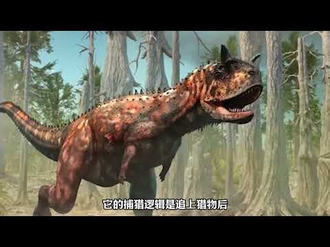 2011年，古生物学家斯科特·帕森斯做了一件谁也没想到的事——他把食肉牛龙的尾巴放进了CT机。当三维重建图像出现在屏幕上时，他倒吸一口凉气：这根尾巴里藏着的，是一台史前V8发动机，食肉牛龙的尾巴两侧，