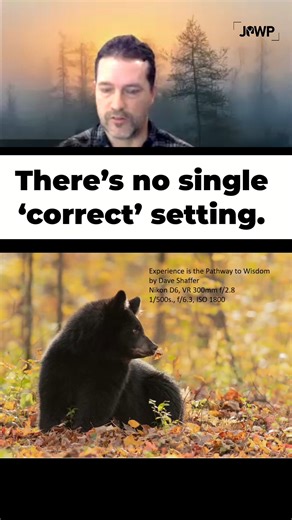 Fix overexposure in seconds. This image wasn’t broken—it was just pushed too bright. By adjusting the mid-tones in Levels, contrast returns, colour settles, and the image regains its presence. No aggressive moves. No global saturation. Just understanding where tone lives. This is editing as refinement, not rescue. 💬 Comment Levels and we’ll send you the full critique clip. | Journal of Wildlife Photography