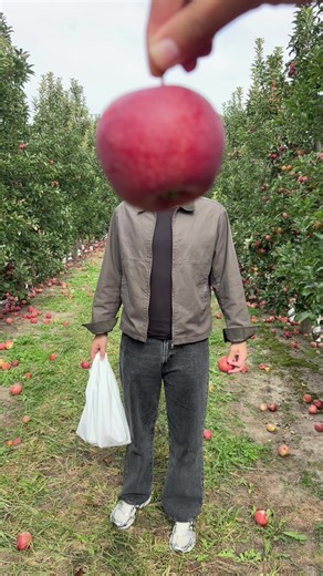 apple picking🍎🤎🍂 #hijabi #muslimah #married | apple picking outfit