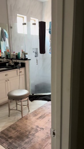 Distraction by Cats | Funny TikTok Compilation