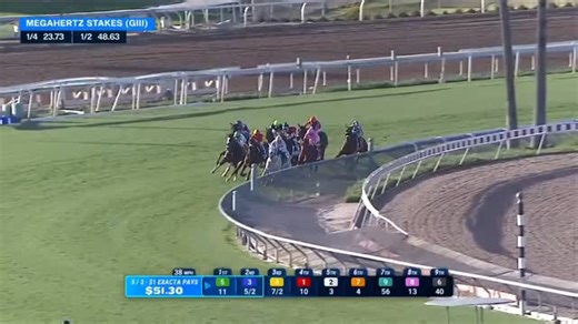 F.R.W on Instagram: "Megahertz Stakes Grade 3 | Class 1 | Turf 4YO Plus Fillies And Mares Distance 1600 Meters Purse $100,000 🇺🇸📍Santa Anita Park Winner: Princesa Moche Sire: Muwaary Dam: Queen Jezebel Dam's Sire: Motivator Weight: 54 KG Age: 4 Sex: Filly Form: 3311-1 Rating: Owner: Southern California Equine Stables Llc Trainer: Tim Yakteen Jockey: Emisael Jaramillo 📹 @fanduel_racing"