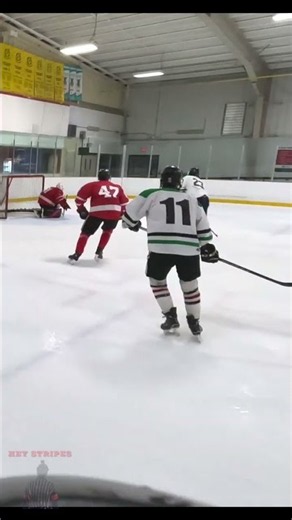 big save - Hey Stripes! The Micd Up GoPro Hockey Refcam