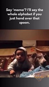 #funnydog #dogandbaby #mama #petreels #dogsoftiktok #dogmeme #babylife #funnypets #talkingdog #dogsofinstagram #reelsviral #funnydogvideo #funnyreels #cutepets #dogvideos #babymoment #cutenessoverload #dogtricks #doglove #dogmood #dogvoice #petparentlife #viralvideo #babyanddog #dogcomedy #funniestpets #hungrydog #dogwantsfood #dogsarefamily #babyfirstwords | Pet LoLs Unleashed