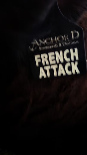 French Attack’s legacy will live on. #cattle #anchordsimmentals #bull #special | Anchor D Ranch Simmentals