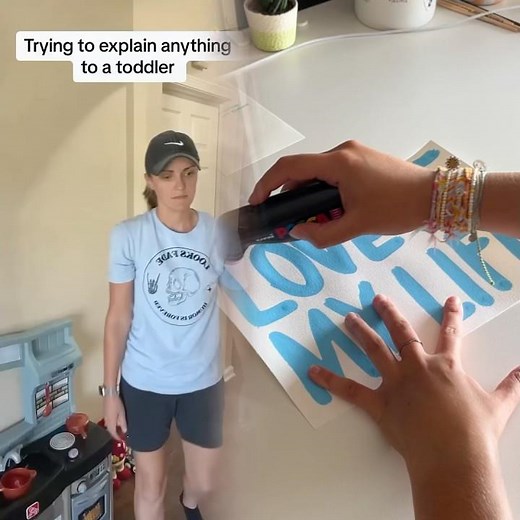 I spend most of my day trying to convince my toddler of something