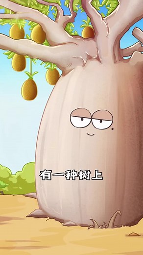 African Monkey Bread Tree #fyp #viral #tiktok #africa