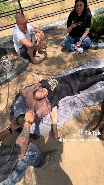 Bufo Alvarius: Medicina Sagrada y Conexión Espiritual