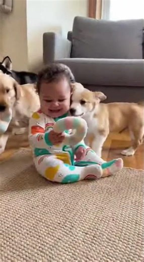 Bébé et Chiots : Qui Attrape le Jouet en Premier ?