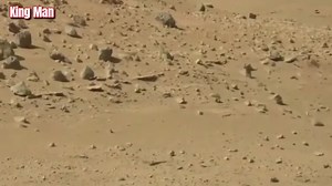 67K views · 1.2K reactions | Conclusive real evidence that there used to be extraterrestrial life on Mars Reptilians Join group watch more: Mysterious Aliens & UFO Disclosure ✔ | Mysterious UFOs | Facebook