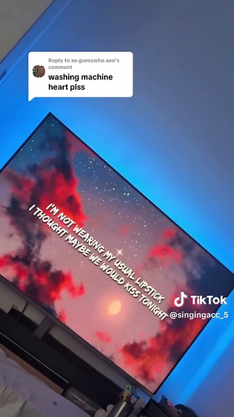 Mitski Cover: Washing Machine Heart Interpretation