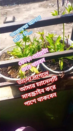 #ইসলামিক_শর্ট_ভিডিও #gaming #recipe #balk #baboom #ibble #bosi #boox #bisco #baryon #boosteroid