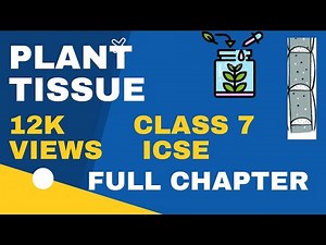 ICSE Class 7 BIOLOGY | PLANT TISSUE FULL CHAPTER EXPLANATION USEFUL FOR ANY CLASS