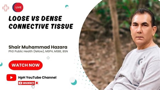 Understanding Connective Tissue Types: Loose vs Dense Tissue | Shair Muhammad Hazara PhD Public Health (Fellow) posted on the topic | LinkedIn