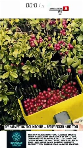 DIY Harvesting Tool Machine – Berry Picker Hand Tool