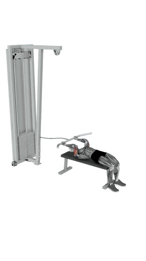 cable lying triceps extension.mp4