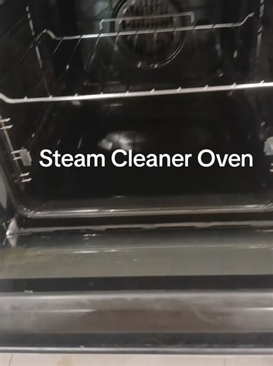 Effective Steam Cleaner for Oven Cleaning