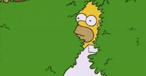 Homer Simpson Uses His Own 'Backing Into Bushes' GIF On 'The Simpsons'